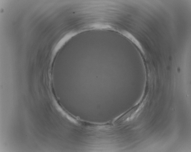 X0000076251381200610261929