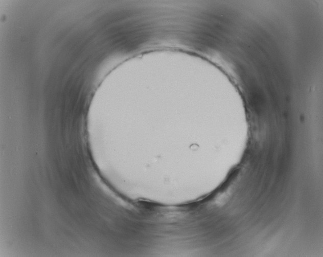 X0000076251382200610261929