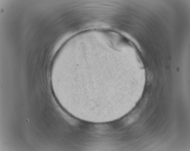 X0000076251383200610261929