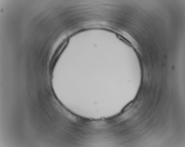 X0000076251384200610261929