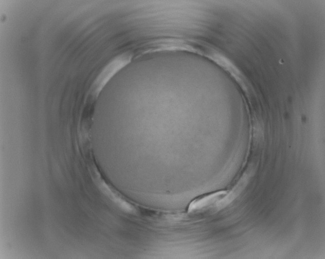 X0000076251385200610261929