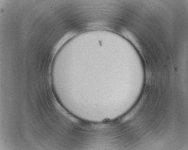 X0000076251386200610261929