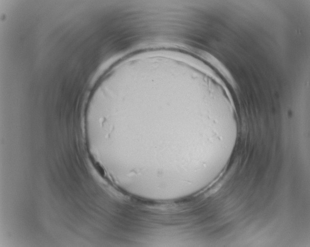 X0000076251388200610261929