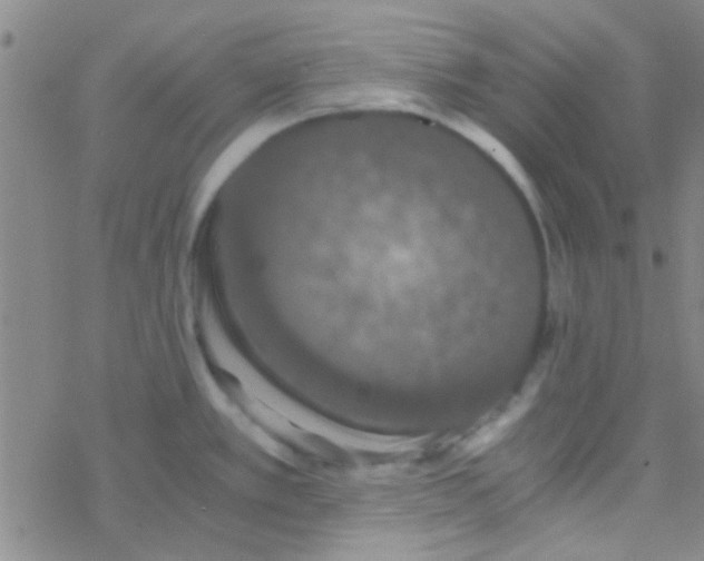 X0000076251389200610261929