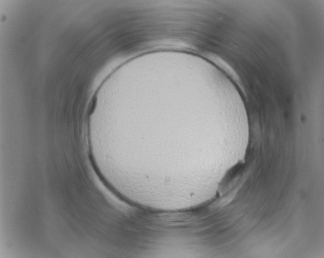 X0000076251391200610261929