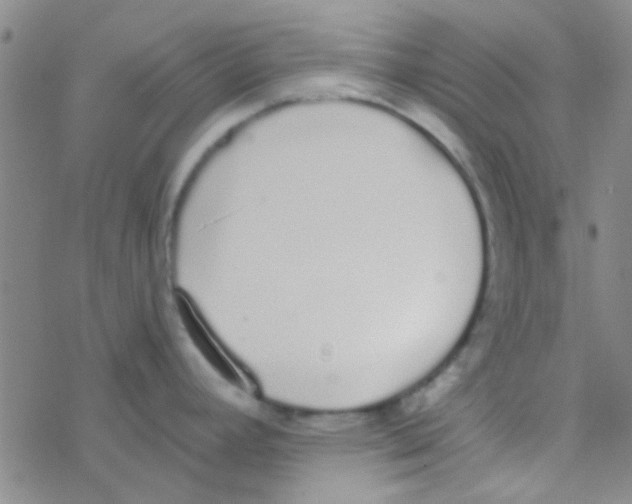 X0000076251392200610261929