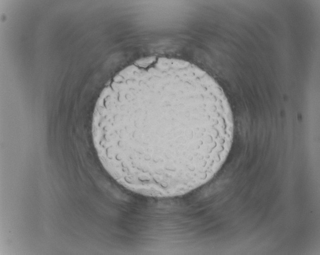 X0000076251393200610261928