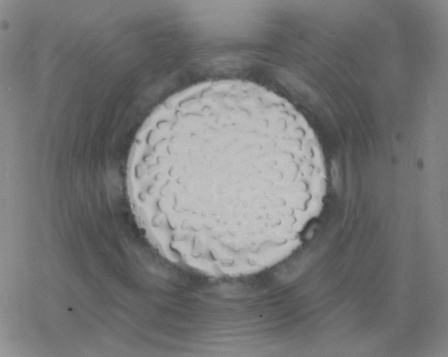 X0000076251395200610261928