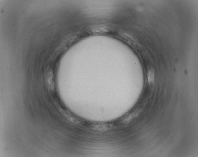 X0000076251396200610261928