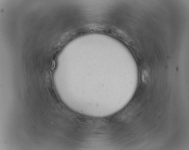 X0000076251397200610261928