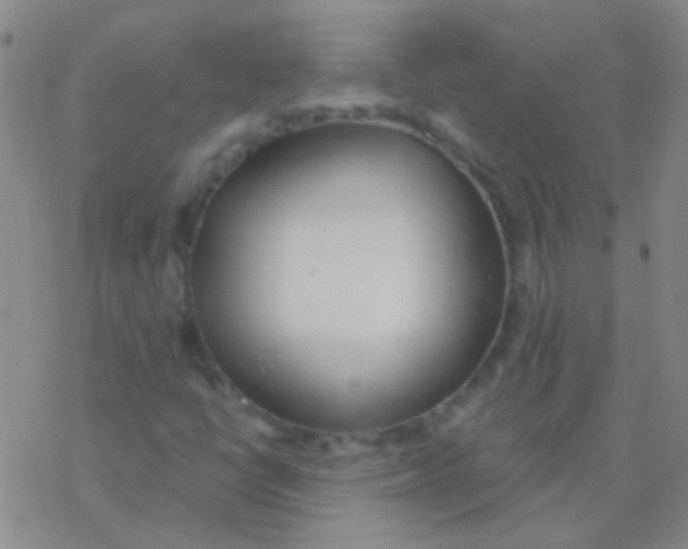 X0000076251398200610261928