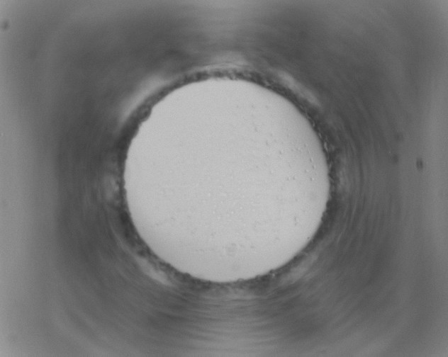 X0000076251400200610261928