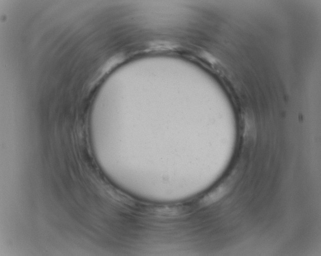 X0000076251401200610261929