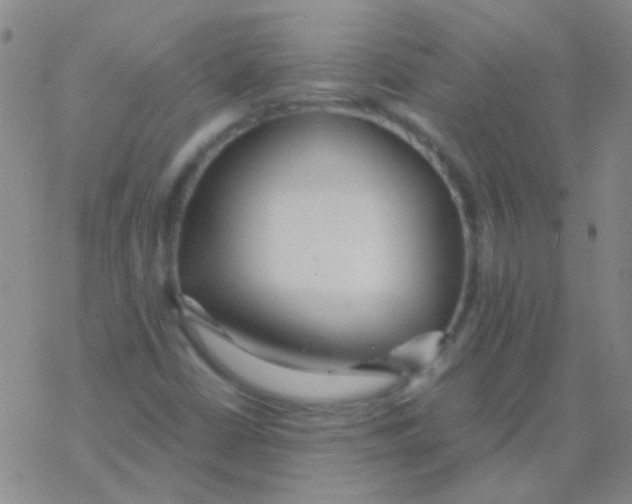 X0000076251402200610261929