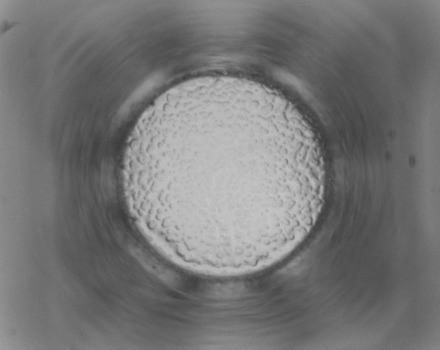 X0000076251403200610261929