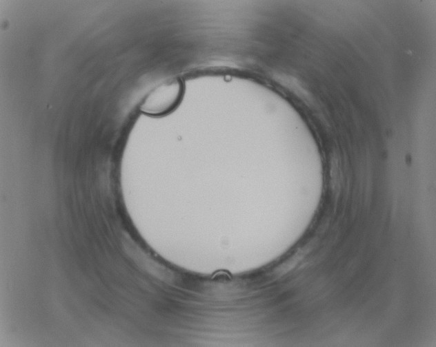 X0000076251404200610261929