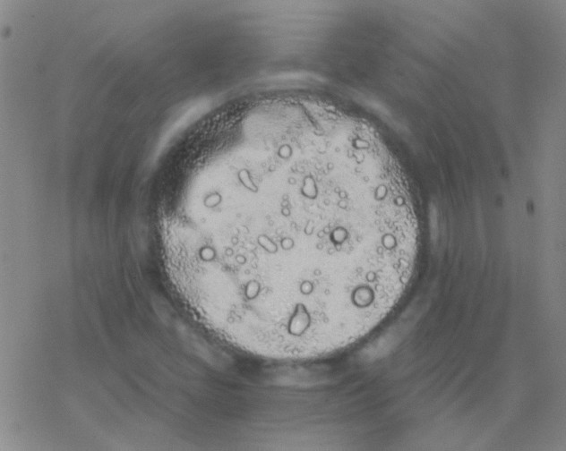 X0000076251405200610261929