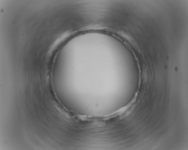 X0000076251406200610261929