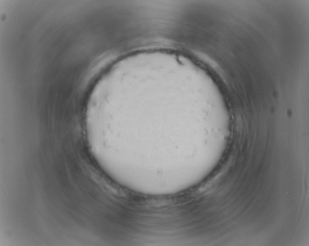 X0000076251407200610261929