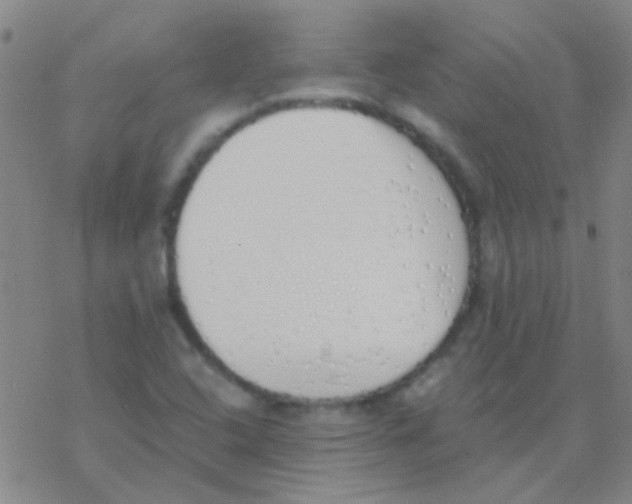 X0000076251408200610261929