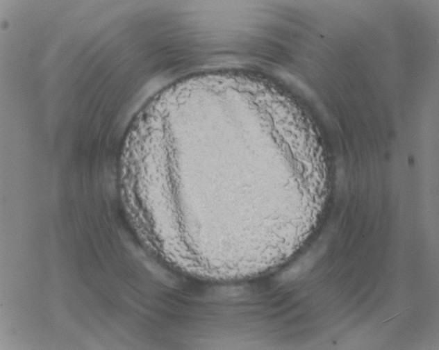 X0000076251409200610261929