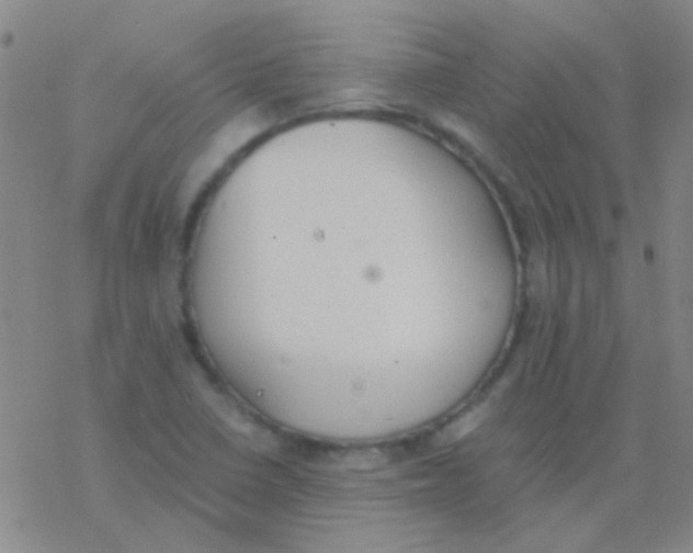 X0000076251410200610261929