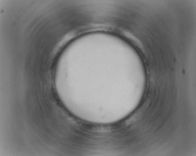 X0000076251411200610261929