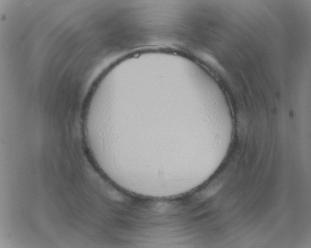 X0000076251412200610261929