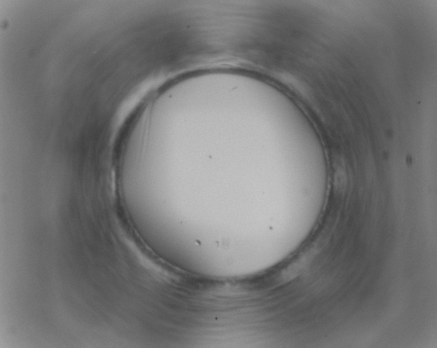 X0000076251414200610261929