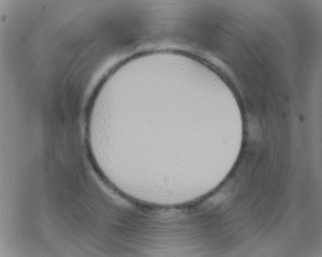 X0000076251416200610261929