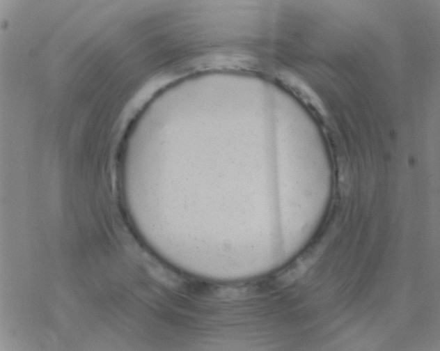 X0000076251419200610261929