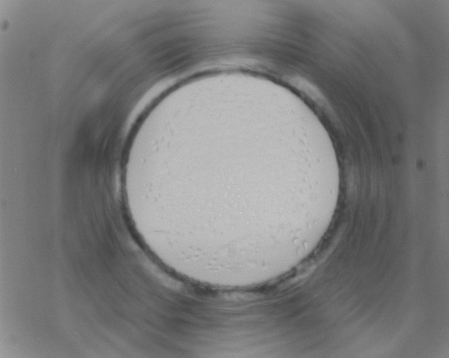 X0000076251420200610261929