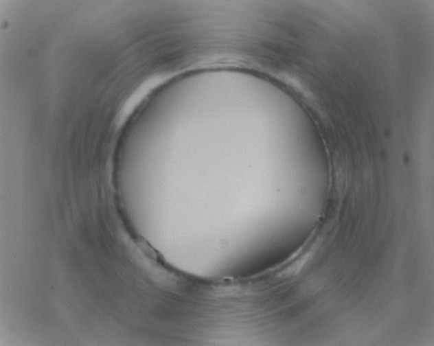 X0000076251422200610261929