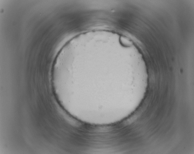 X0000076251423200610261929