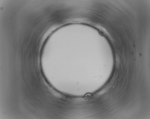 X0000076251424200610261929