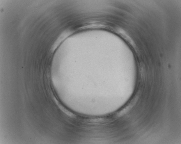 X0000076251425200610261929