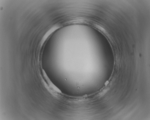 X0000076251426200610261929