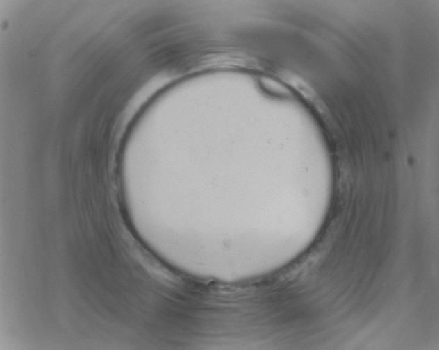 X0000076251427200610261929