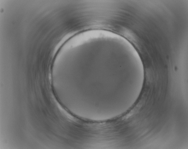 X0000076251428200610261929