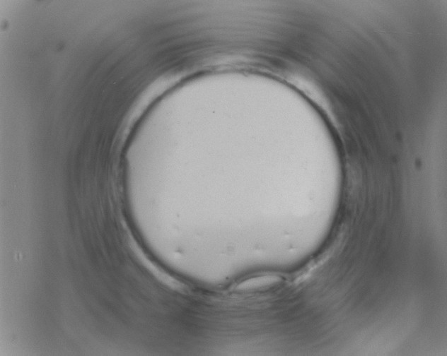 X0000076251429200610261929