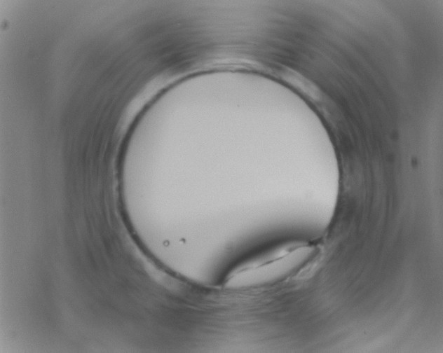 X0000076251430200610261929