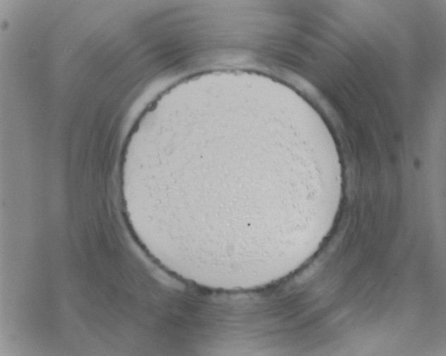 X0000076251432200610261929