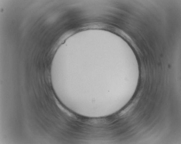 X0000076251433200610261929