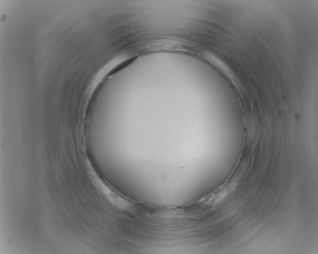 X0000076251434200610261929