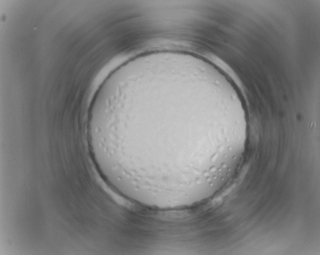 X0000076251437200610261929