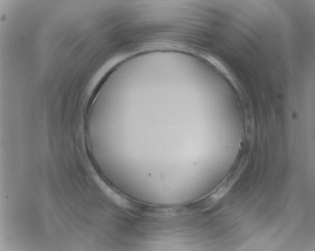 X0000076251438200610261929