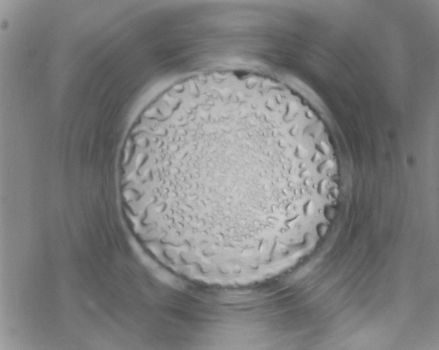 X0000076251439200610261929