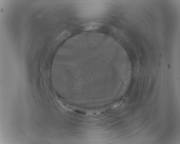 X0000076251441200610261928