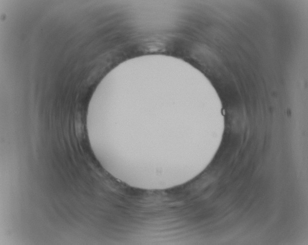 X0000076251442200610261928