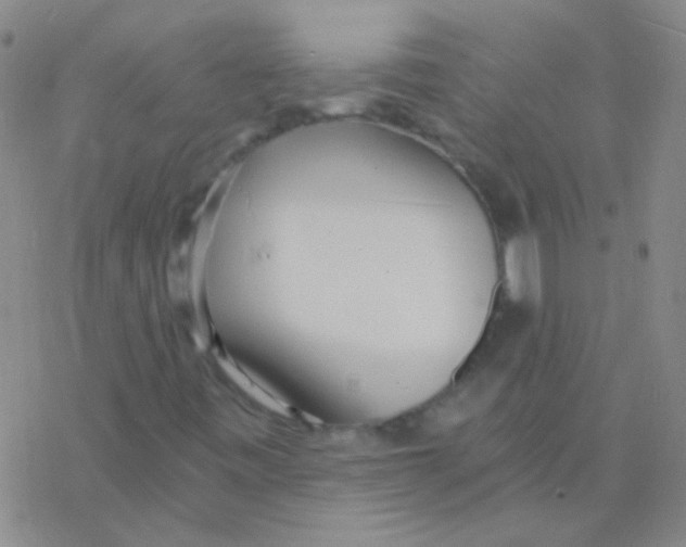 X0000076251443200610261928